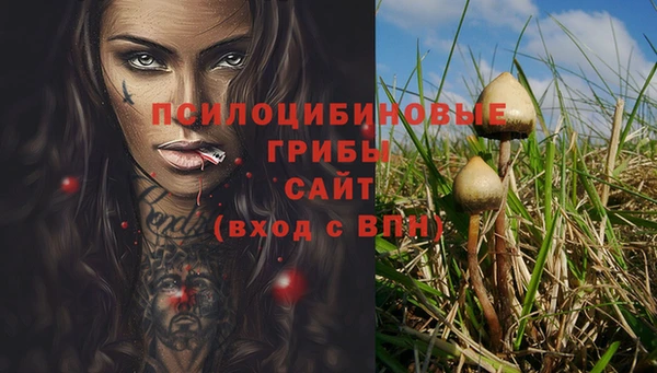 альфа пвп Нефтегорск