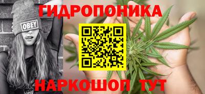 apvp Азнакаево
