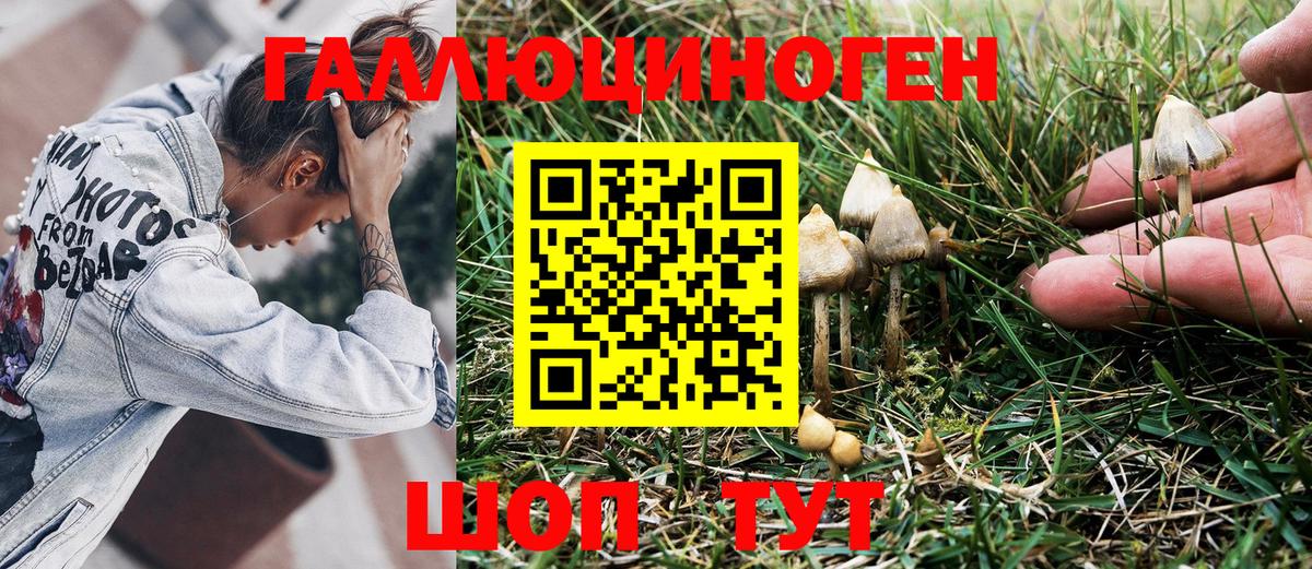 Галлюциногенные грибы Magic Shrooms Мурино