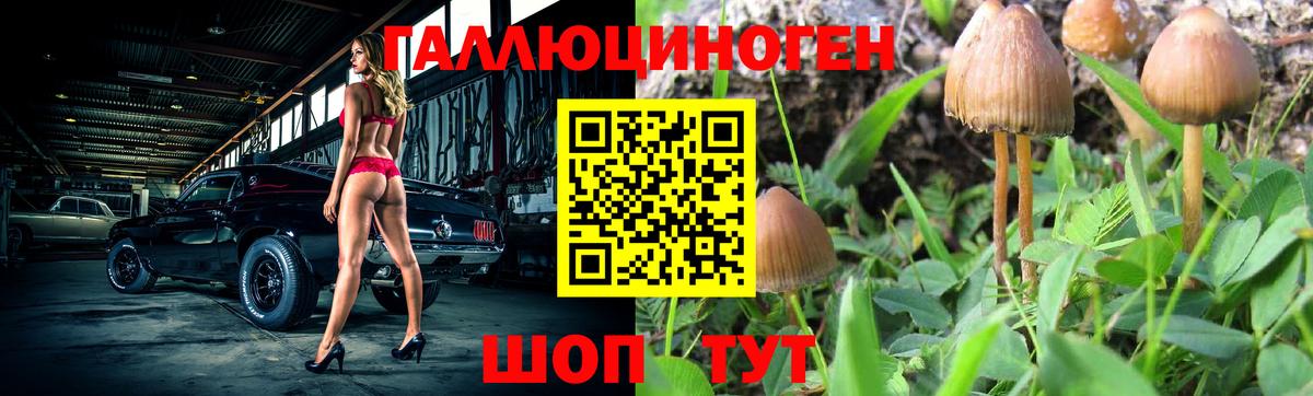Галлюциногенные грибы Cubensis  Вход с VPN  Мурино 
