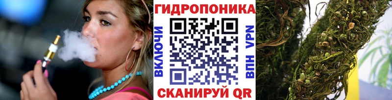 Бошки марихуана семена наркотики Мурино